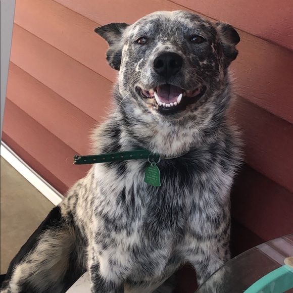 Meet the Posher Other - Meet your Posher, Fayeann